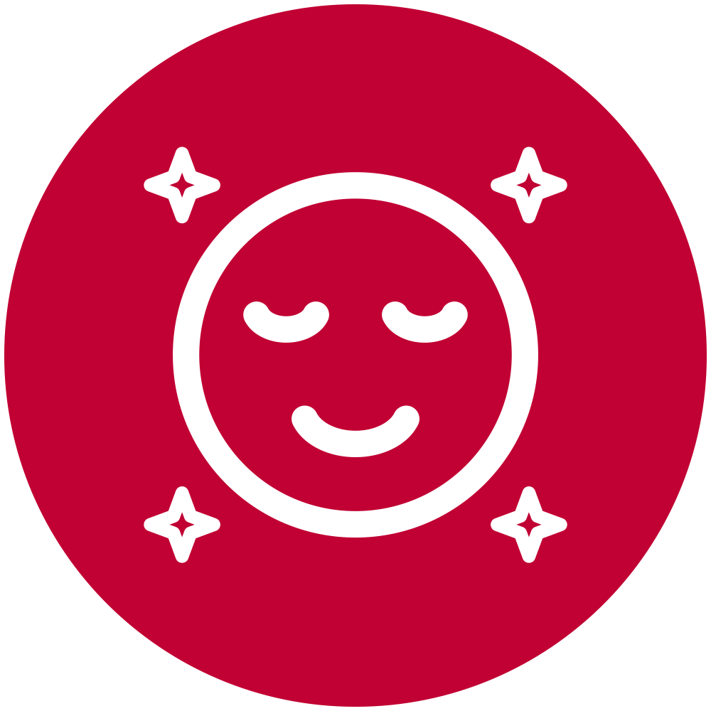 NEUROVIZR